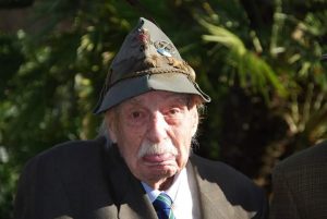vicentini 2
