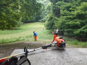 IMG-20210530-WA0095